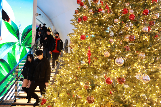 아름다운 크리스마스 트리 만나보는 '한강 플플'