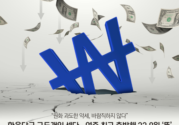 [오늘의 그래픽] 환율당국 구두개입 셌다…연중 최고 출발해 33.8원 '뚝'