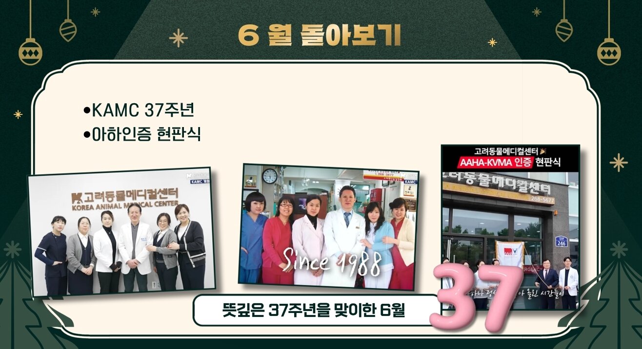 본문 이미지 - 고려동물메디컬센터 종무식에서 공개된 한 해 병원의 성과를 돌아보는 영상 일부(동물병원 제공) ⓒ 뉴스1