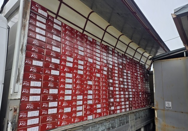 인제 사과, 홈쇼핑 3차 방송 35분 만에 완판…매출 2억3000만원