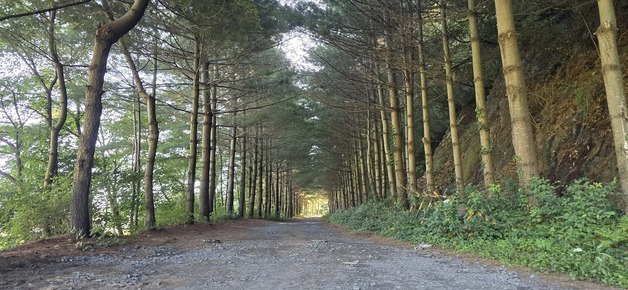 '청주 동남권'에 산림휴양·치유공간 갖춘 가족여가벨트 조성