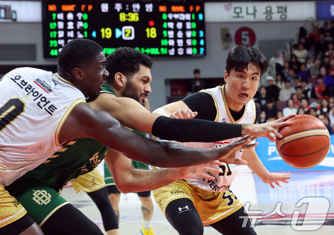 (안양=뉴스1) 김명섭 기자 = 25일 오후 경기도 안양시 정관장아레나에서 열린 2025-2026 LG전자 프로농구 정규리그 안양 정관장과 원주 DB의 경기에서 원주 DB 에삼 무 …