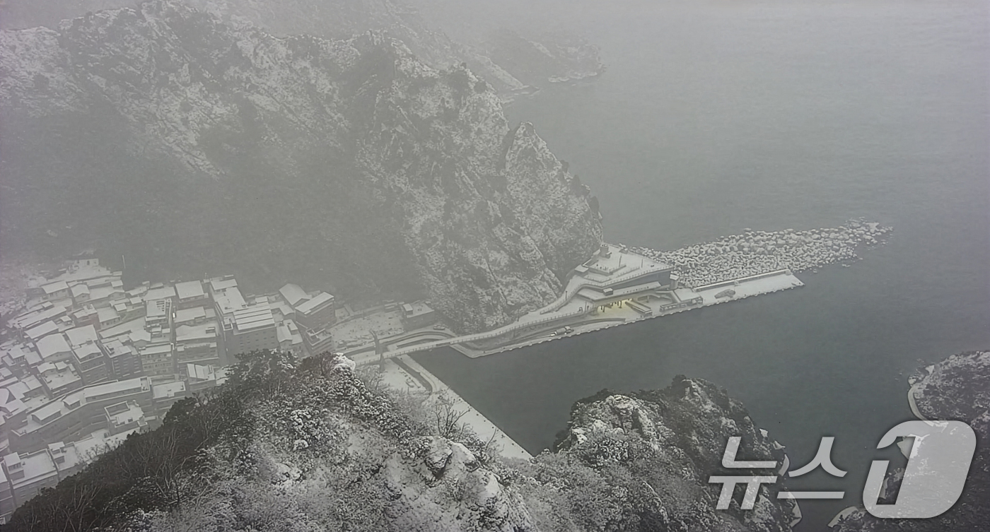 (울릉=뉴스1) 최창호 기자 = 26일 경북 울릉군 전역에 밤사이 많은 눈이 내려 있다. (울릉도 실시간웹방송 갈무리) 2025.12.26/뉴스1