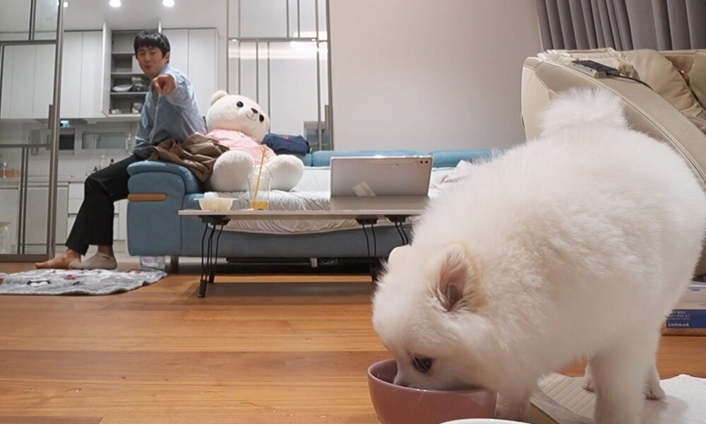 본문 이미지 - MBC