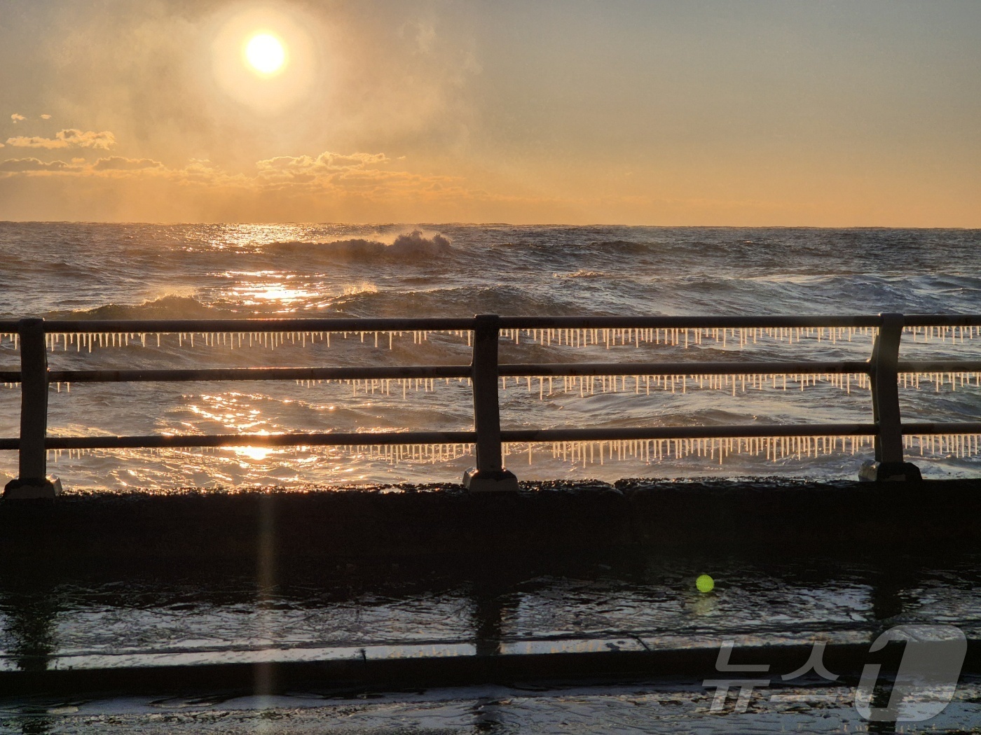 (강릉=뉴스1) 윤왕근 기자 = 강원 대부분 지역에 한파특보가 발효된 26일 동해안 대표 해안도로인 강릉시 강동면 심곡~금진 구간 헌화로 난간에 고드름이 매달려 있다. 2025.1 …