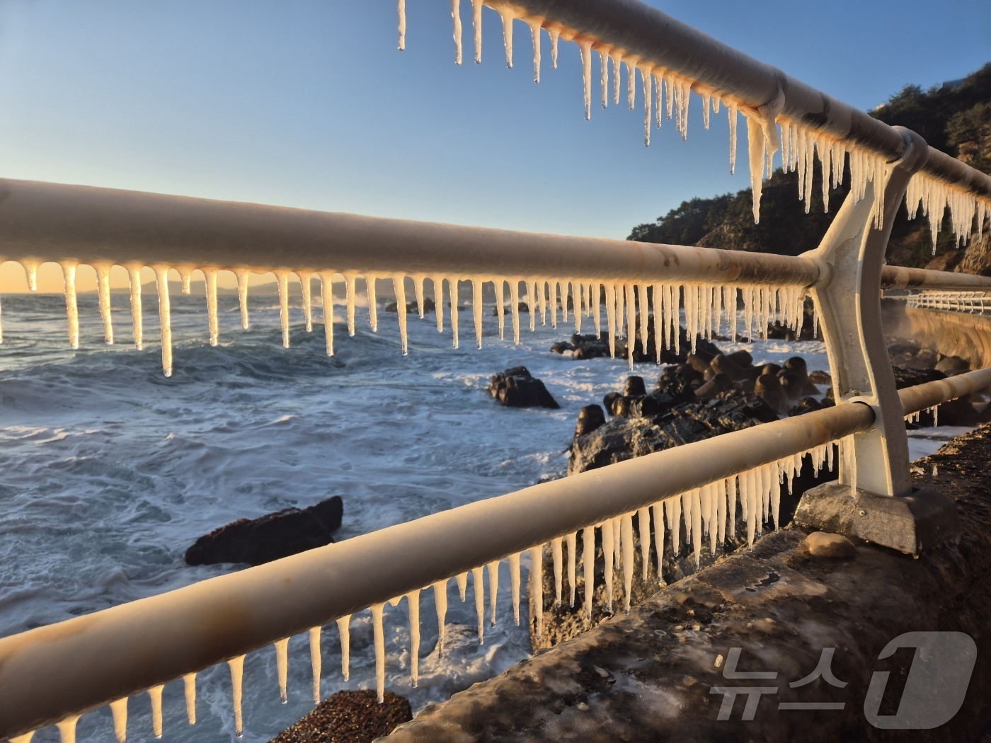 (강릉=뉴스1) 윤왕근 기자 = 강원 대부분 지역에 한파특보가 발효된 26일 동해안 대표 해안도로인 강릉시 강동면 심곡~금진 구간 헌화로 난간에 고드름이 매달려 있다. 2025.1 …