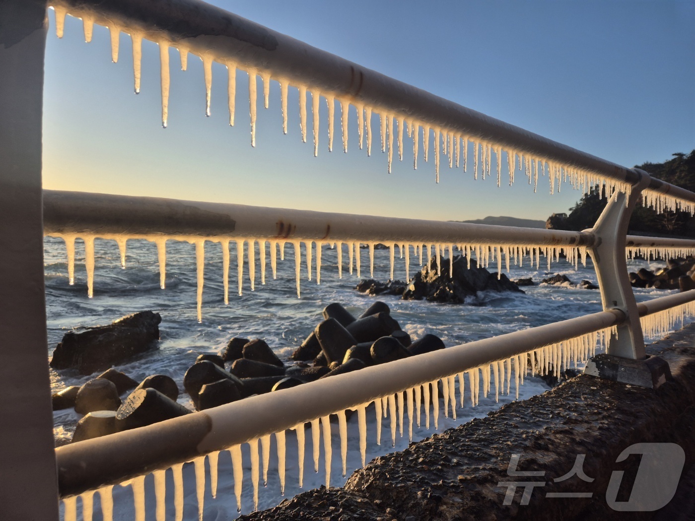 (강릉=뉴스1) 윤왕근 기자 = 강원 대부분 지역에 한파특보가 발효된 26일 동해안 대표 해안도로인 강릉시 강동면 심곡~금진 구간 헌화로 난간에 고드름이 매달려 있다. 2025.1 …