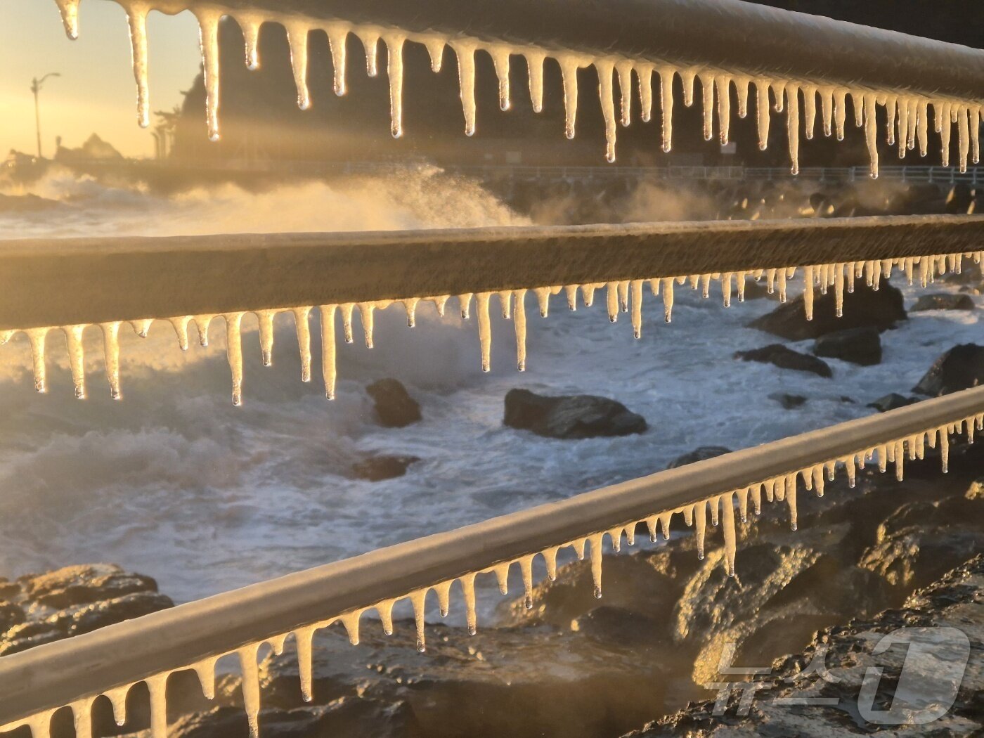본문 이미지 - 강원 대부분 지역에 한파특보가 발효된 26일 동해안 대표 해안도로인 강릉시 강동면 심곡~금진 구간 헌화로 난간에 고드름이 매달려 있다. 2025.12.26/뉴스1 ⓒ News1 윤왕근 기자