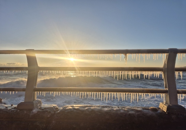 강릉 해안도로 고드름 커튼