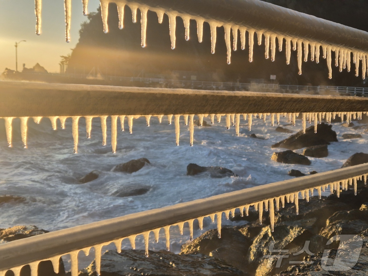 (강릉=뉴스1) 윤왕근 기자 = 강원 대부분 지역에 한파특보가 발효된 26일 동해안 대표 해안도로인 강릉시 강동면 심곡~금진 구간 헌화로 난간에 고드름이 매달려 있다. 2025.1 …