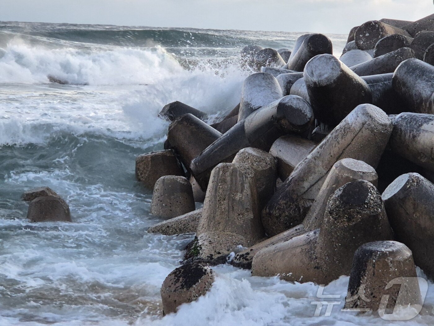 본문 이미지 - 강원 대부분 지역에 한파특보가 발효된 26일 강릉시 강문해변 테트라포드에 얼음이 얼어붙어 혹한의 기세를 보여주고 있다. 2025.12.26/뉴스1 ⓒ News1 윤왕근 기자