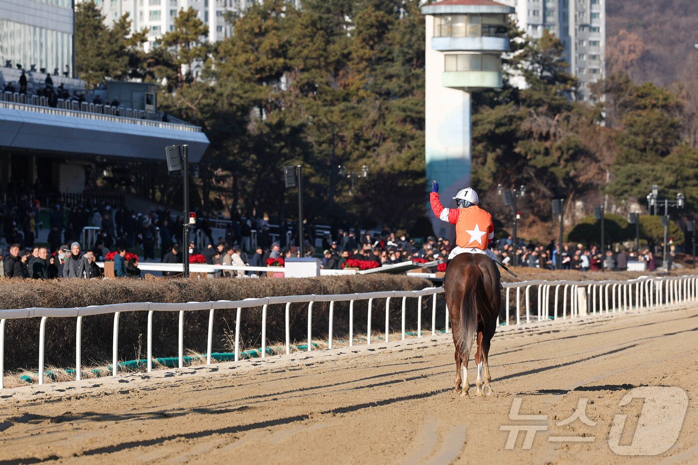 본문 이미지 - 경마 대통령 박태종 기수. (한국마사회 제공)