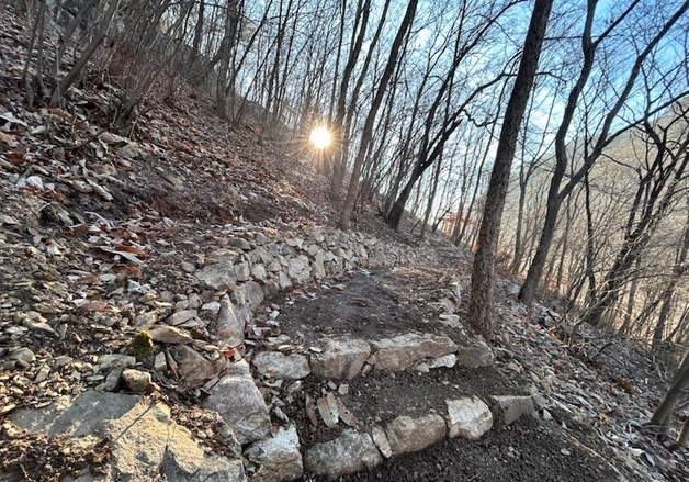 금산산림문화타운 '대화의 숲길' 조성…걷기 쉬운 친환경 산책로