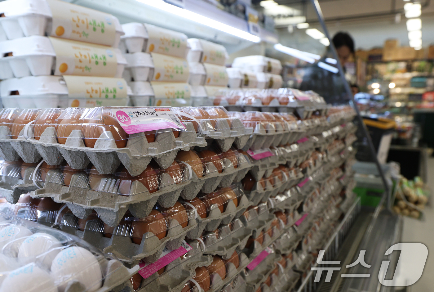 (서울=뉴스1) 오대일 기자 = 산란계 농장 고병원성 조류 인플루엔자(AI) 확산으로 계란 소비자가격이 급등하는 가운데 26일 서울 시내의 한 대형마트에 계란이 진열돼 있다. 축산 …