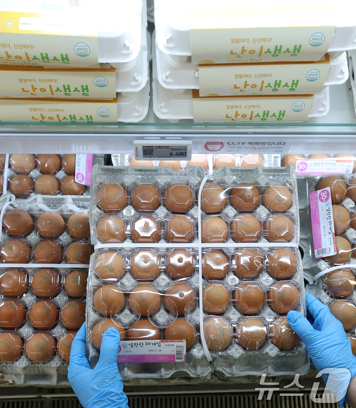 (서울=뉴스1) 오대일 기자 = 산란계 농장 고병원성 조류 인플루엔자(AI) 확산으로 계란 소비자가격이 급등하는 가운데 26일 서울 시내의 한 대형마트에 계란이 진열돼 있다. 축산 …