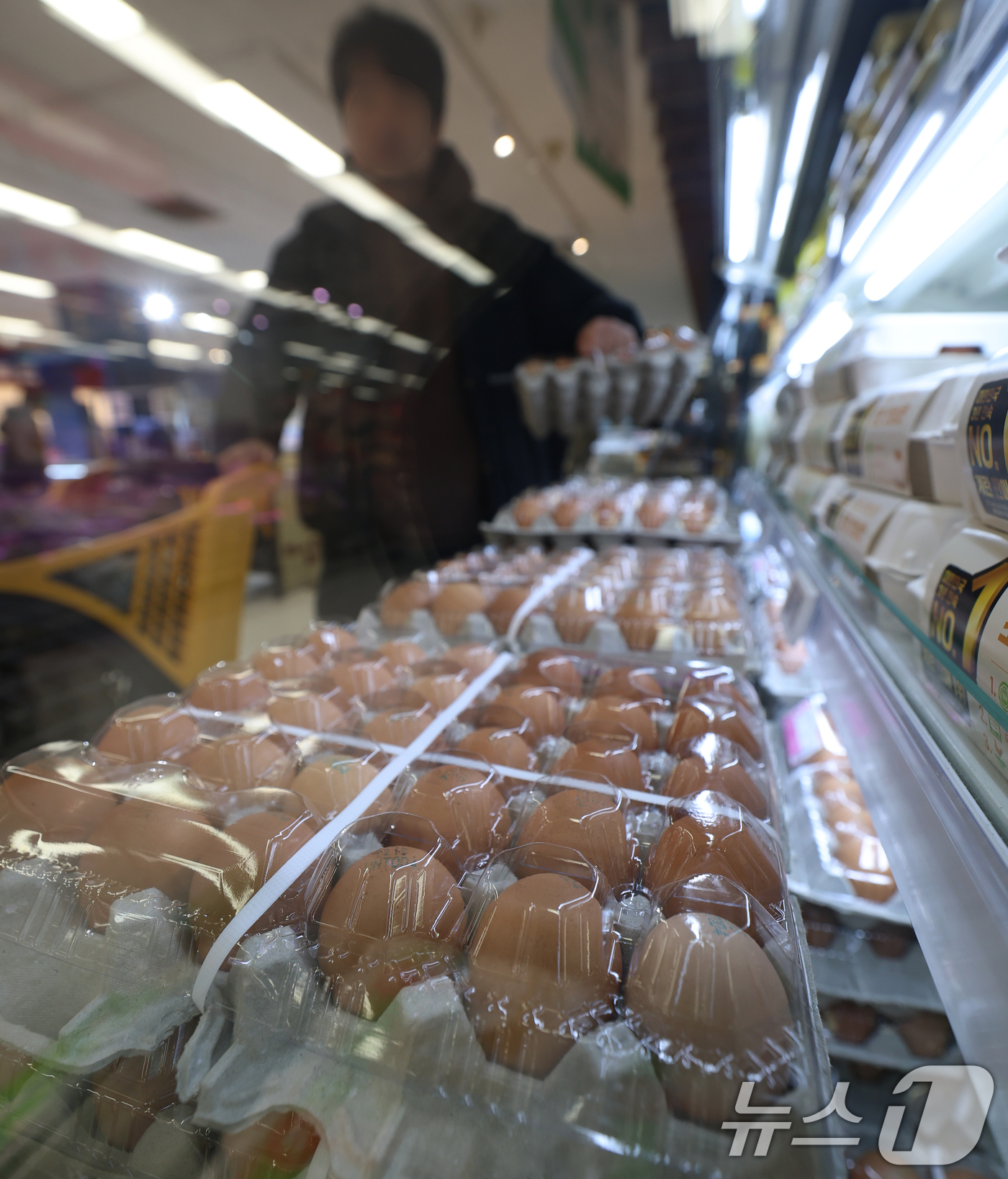 (서울=뉴스1) 오대일 기자 = 산란계 농장 고병원성 조류 인플루엔자(AI) 확산으로 계란 소비자가격이 급등하는 가운데 26일 서울 시내의 한 대형마트에 계란이 진열돼 있다. 축산 …