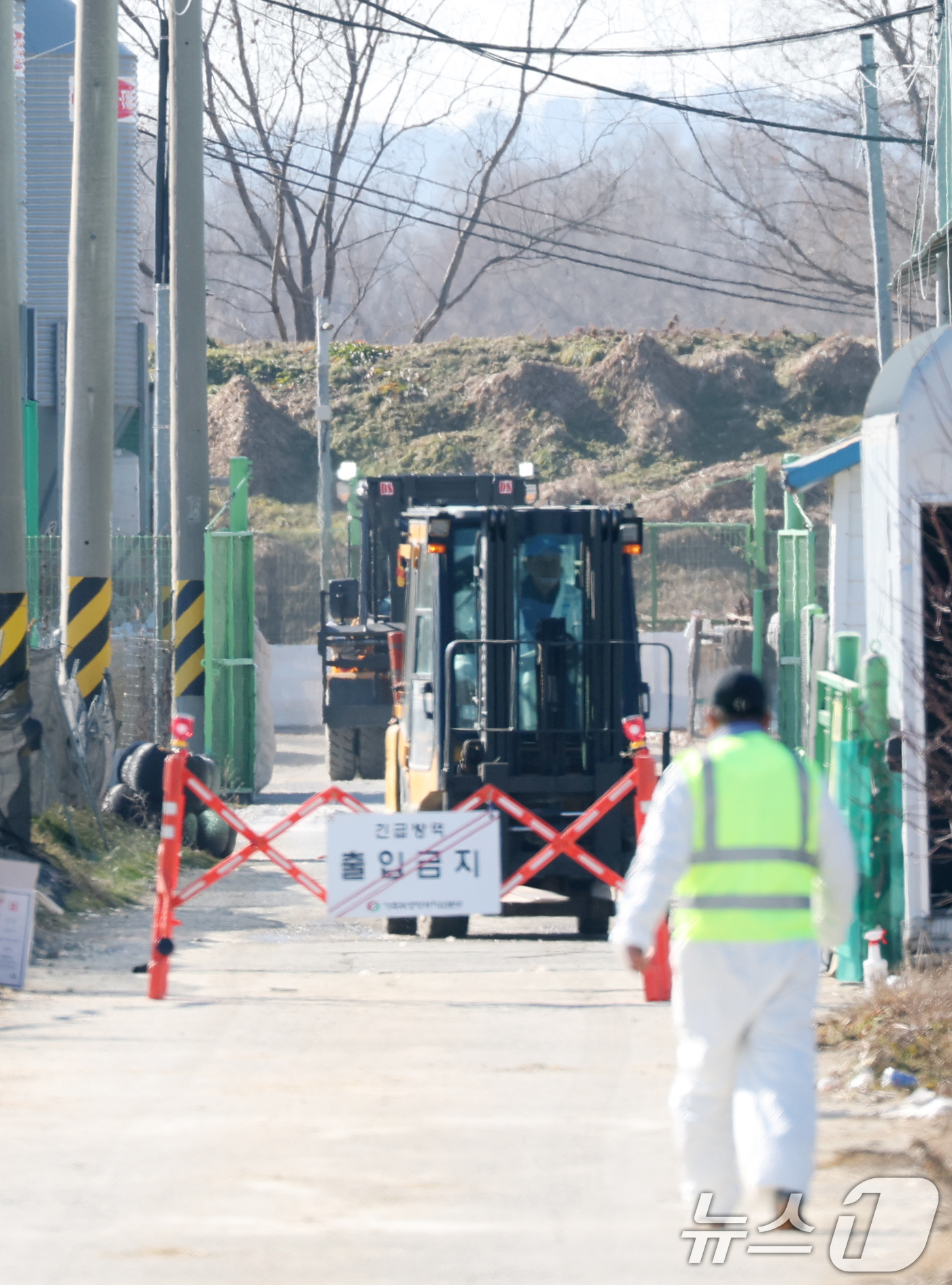 (평택=뉴스1) 김영운 기자 = 26일 경기 평택시의 한 산란계 농장에서 고병원성 조류인플루엔자(AI)가 발생해  방역당국이 통제 및 방역 작업을 하고 있다. 2025.12.26/ …