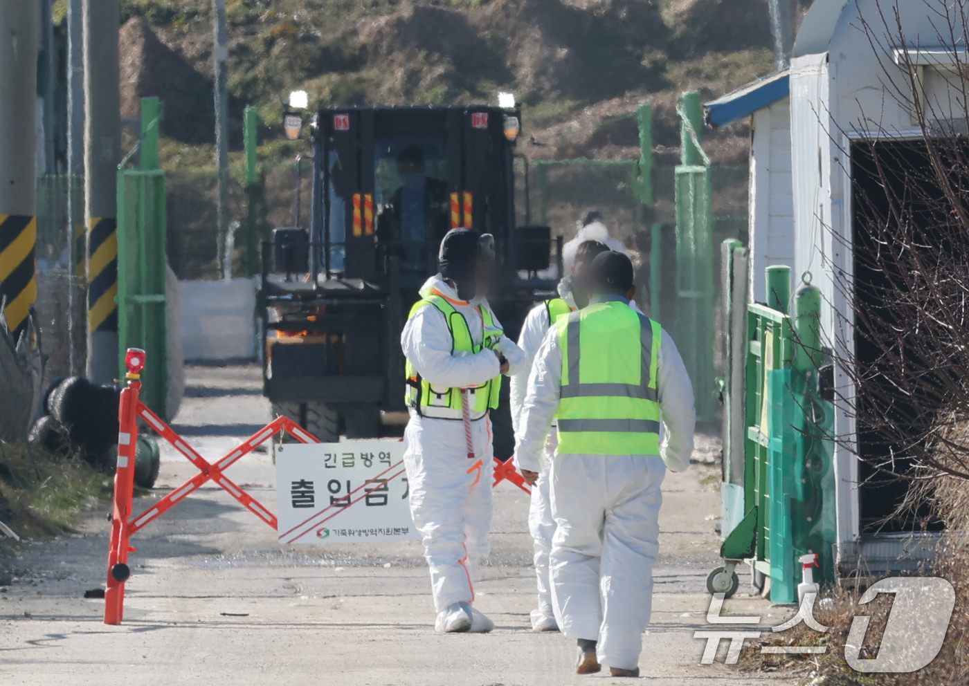 (평택=뉴스1) 김영운 기자 = 26일 경기 평택시의 한 산란계 농장에서 고병원성 조류인플루엔자(AI)가 발생해  방역당국이 통제 및 방역 작업을 하고 있다. 2025.12.26/ …