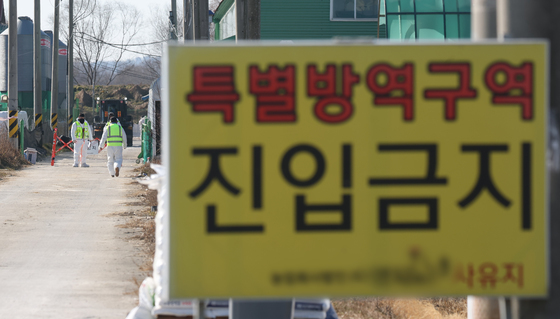 아산시 육용종계 농장서 고병원성 AI 발생…2만1000마리 살처분