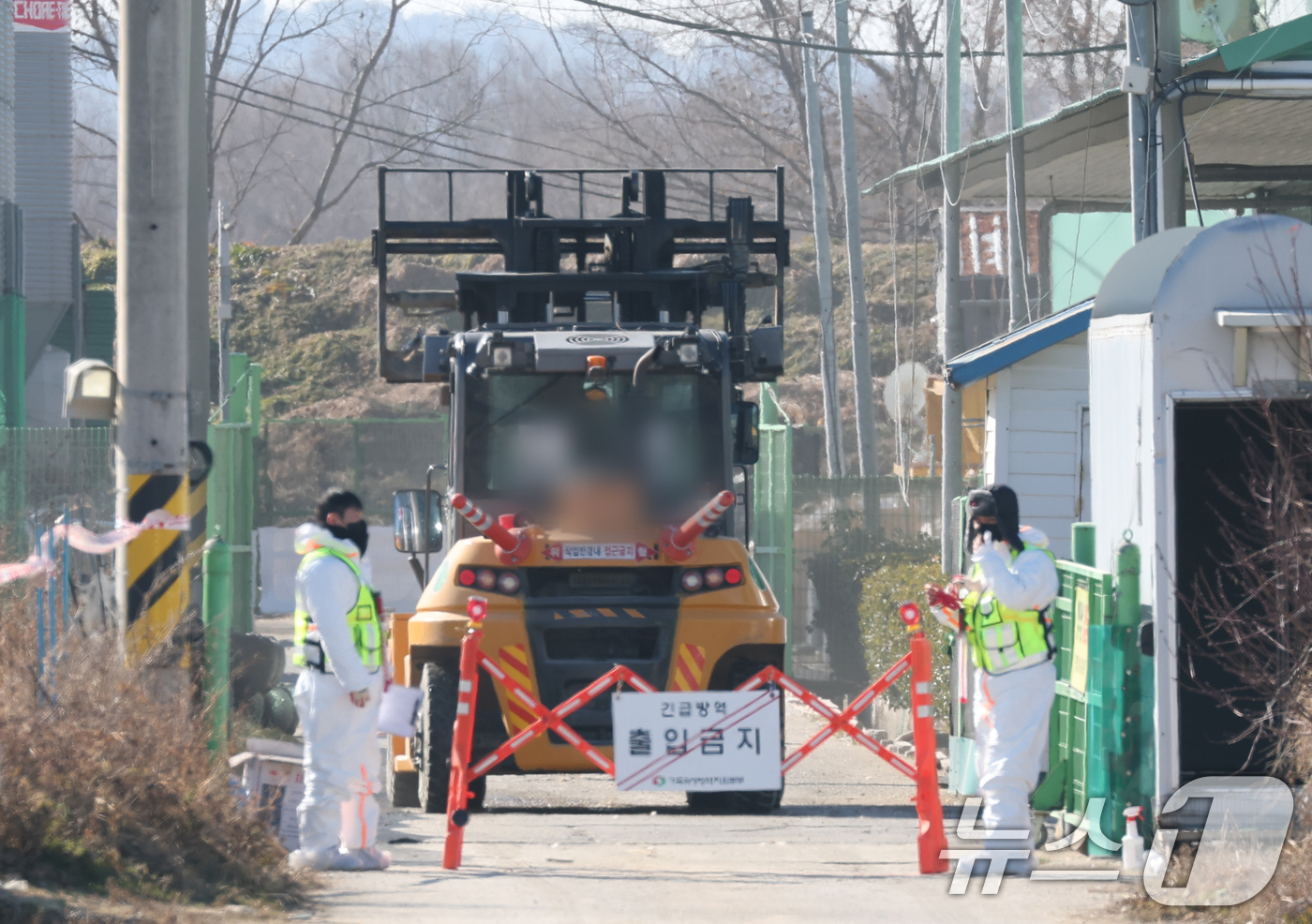 (평택=뉴스1) 김영운 기자 = 26일 경기 평택시의 한 산란계 농장에서 고병원성 조류인플루엔자(AI)가 발생해  방역당국이 통제 및 방역 작업을 하고 있다. 2025.12.26/ …