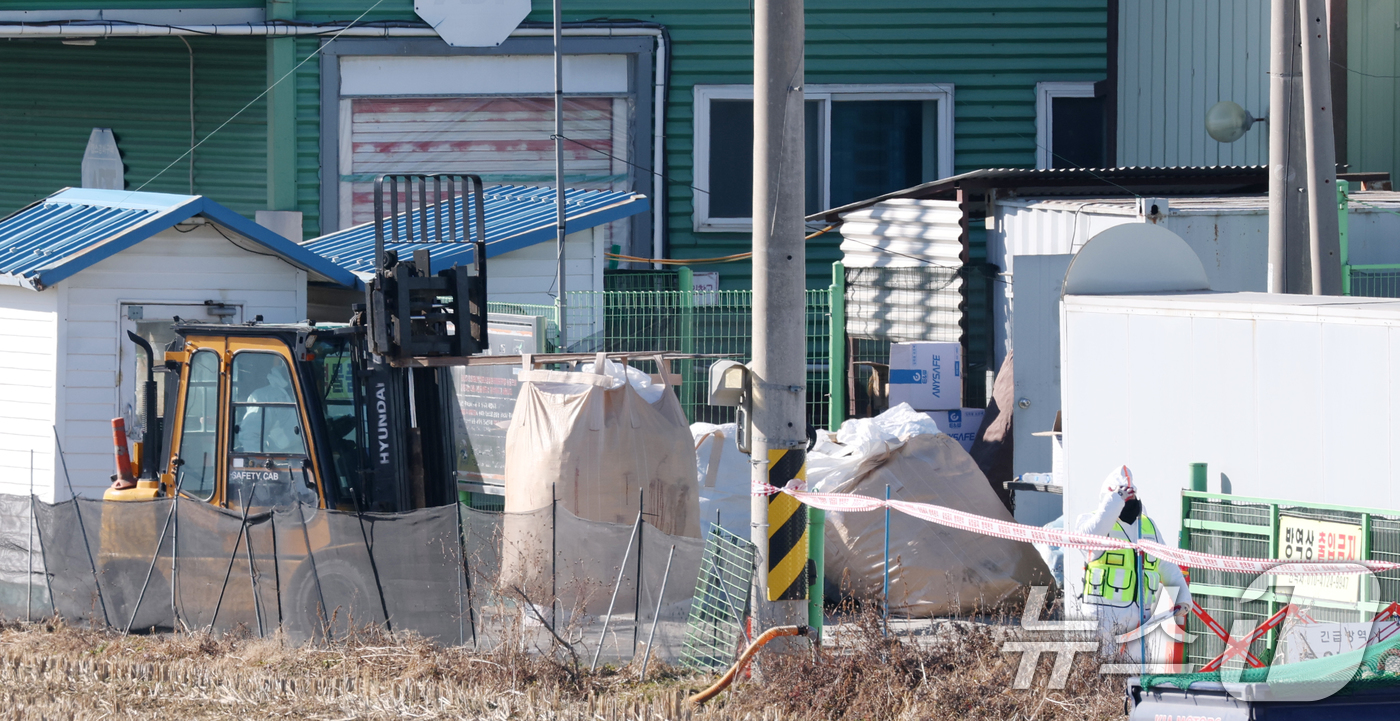 (평택=뉴스1) 김영운 기자 = 26일 경기 평택시의 한 산란계 농장에서 고병원성 조류인플루엔자(AI)가 발생해  방역당국이 통제 및 방역 작업을 하고 있다. 2025.12.26/ …