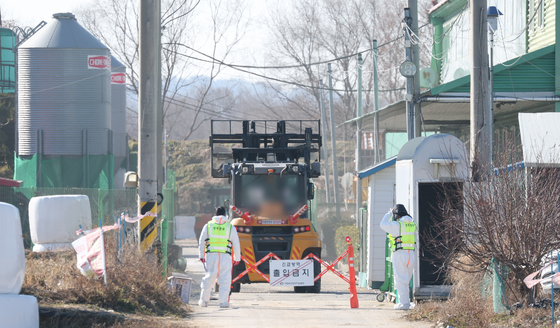 경기도 평택 산란계 농장에 고병원성 AI 발생