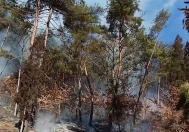 대구 군위군 야산 입구서 쓰레기 태우다 화재…40여분 만에 진화