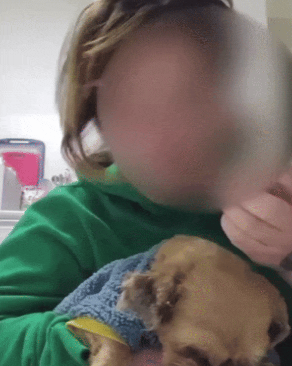 본문 이미지 -  틱톡커가 자신이 키우는 강아지를 학대하는 모습. (SNS 갈무리)