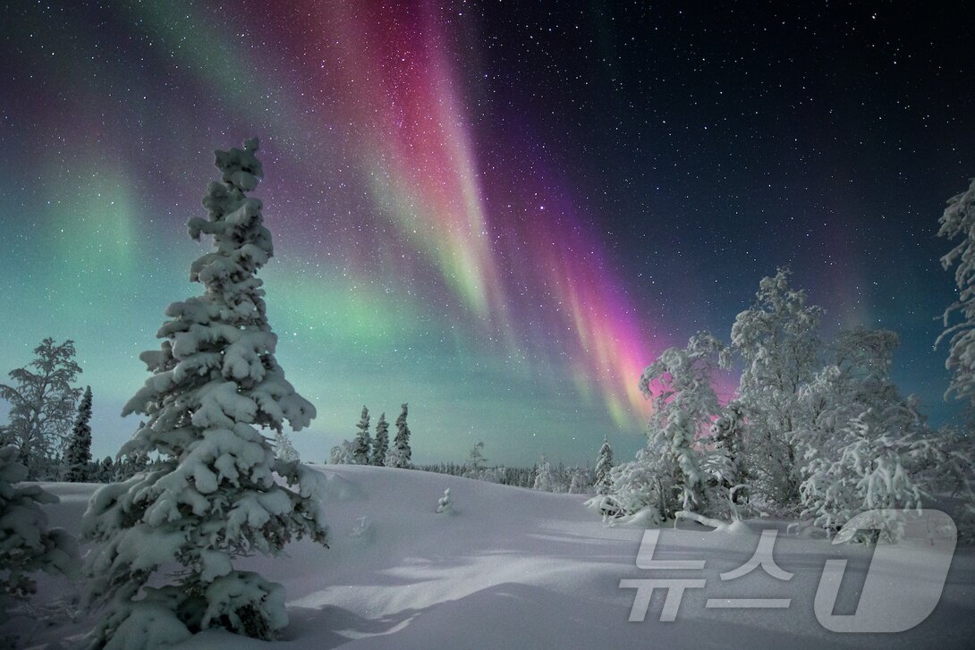 본문 이미지 - 오색빛의 오로라(노스트웨스트준주관광청 제공)