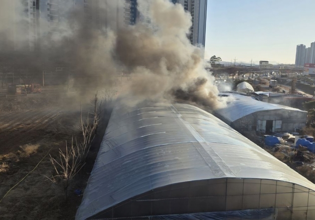 안성 딸기 재배용 비닐하우스서 화재…인명 피해 없어