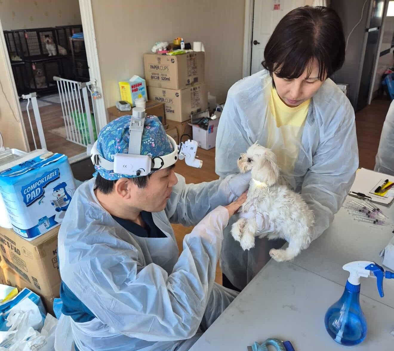 본문 이미지 - 마지막 5차 검사 당시 모습(유행사 제공) ⓒ 뉴스1