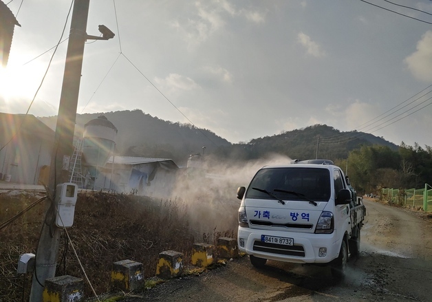 영암 육용오리 농장서 조류인플루엔자 항원 검출