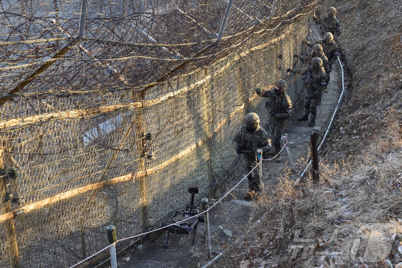 본문 이미지 - 육군 5사단 열쇠부대 장병들이 경기 연천군 접경지역에서 다족 보행 로봇과 함께 일출시간대 철책 경계 근무를 하고 있다. (공동취재) 2025.12.29 ⓒ 뉴스1 장수영 기자