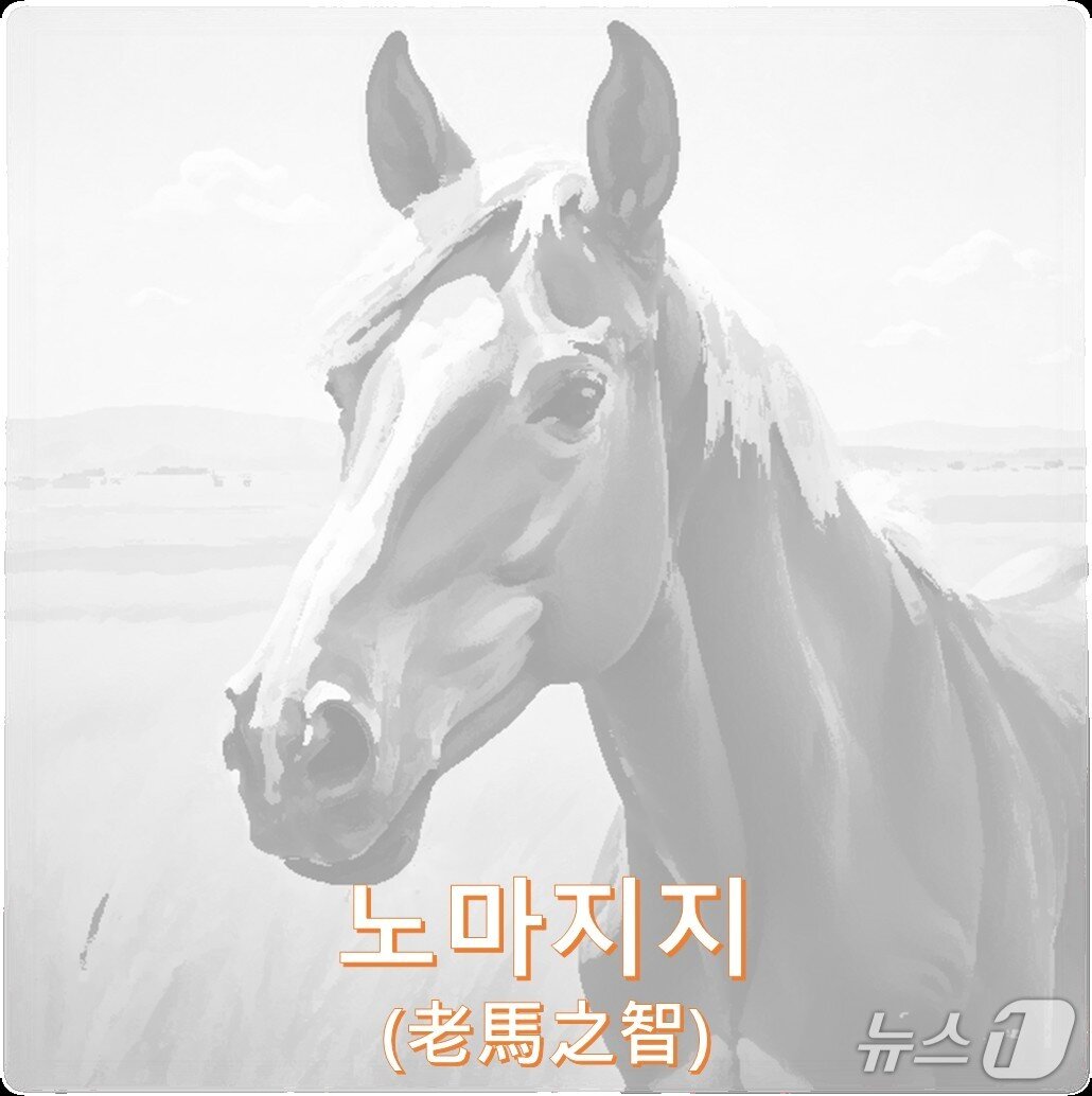 본문 이미지 - 구글 제미나이 나노 바나나로 생성한 '노마지지'(늙은 말의 지혜) 이미지. (필자 제공)