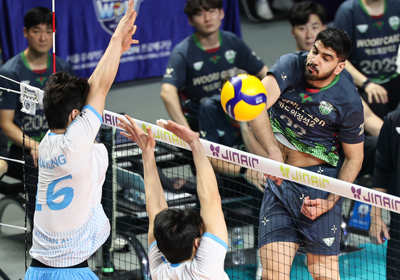 알리 '가볍게 날아서'