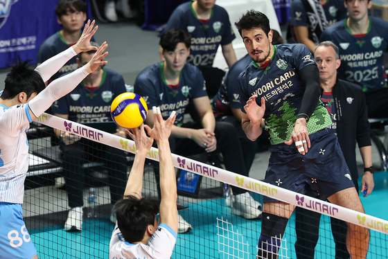 아라우조 '가볍게 날아서'