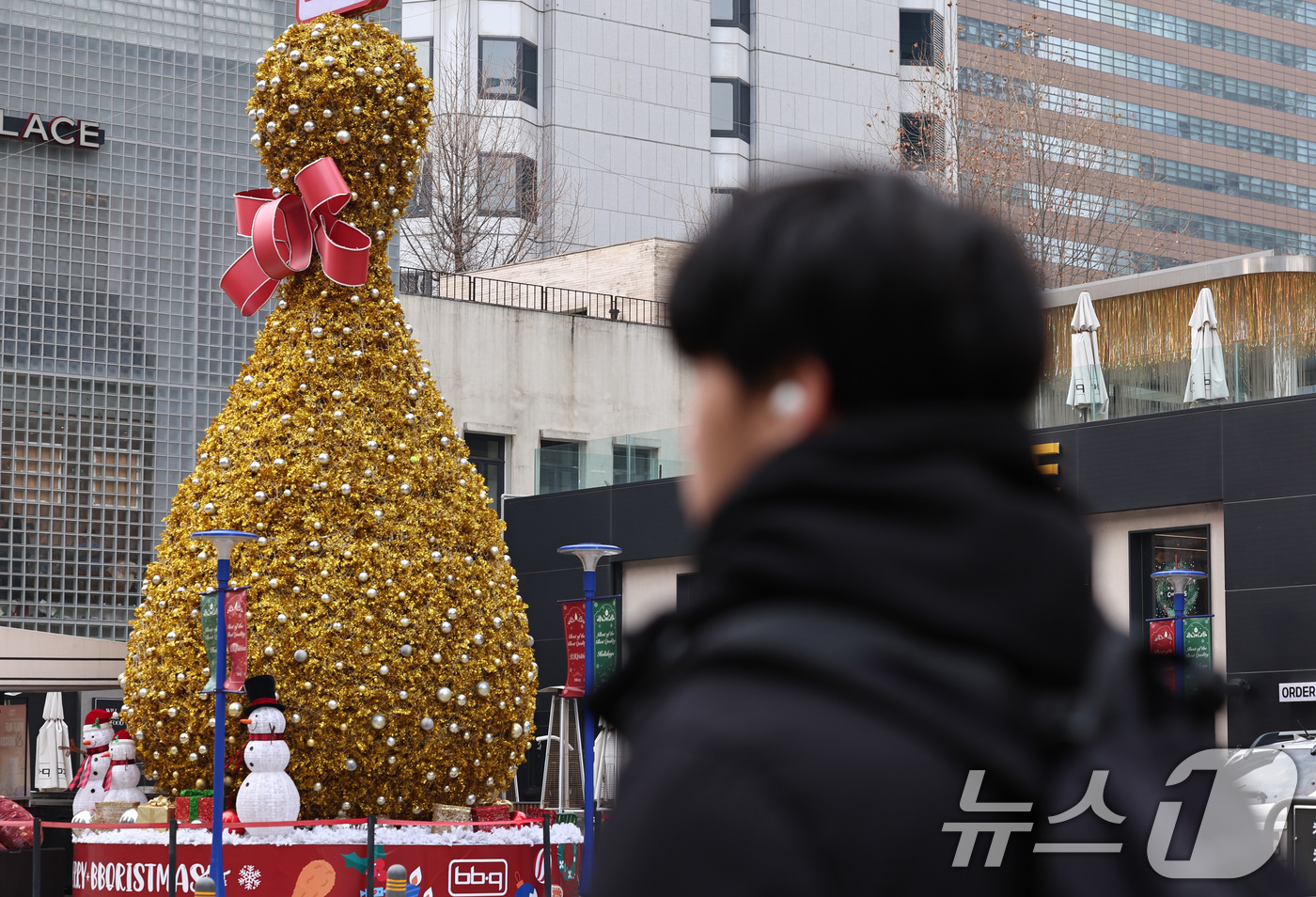 (서울=뉴스1) 구윤성 기자 = 전국 치킨 프랜차이즈 가맹점 수가 처음으로 3만개를 넘어섰다.28일 국가데이터처 ‘2024년 프랜차이즈 통계 결과’에 따르면 지난해 프랜차이즈 치킨 …