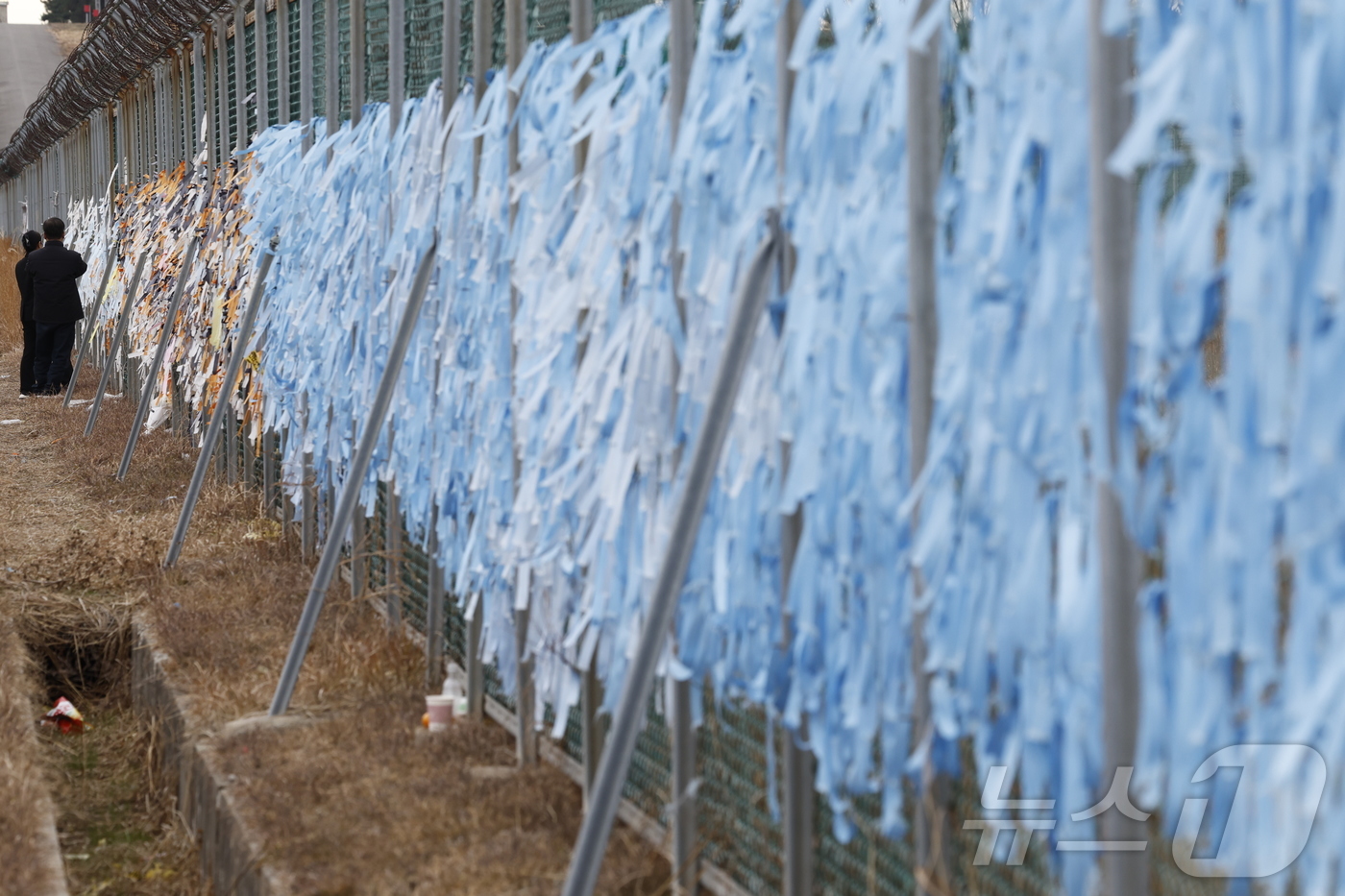 (무안=뉴스1) 김태성 기자 = 12·29 여객기 참사 1주기를 하루 앞둔 28일 오후 전남 무안국제공항 활주로 방면 철조망에 179명의 희생자를 애도하는 푸른 리본들이 물결치고 …