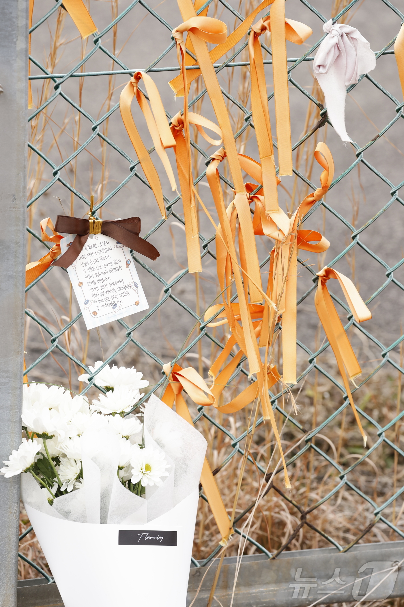 (무안=뉴스1) 김태성 기자 = 12·29 여객기 참사 1주기를 하루 앞둔 28일 오후 전남 무안국제공항 활주로 방면 철조망에 희생자의 명복을 비는 편지와 국화가 놓여 있다. 20 …