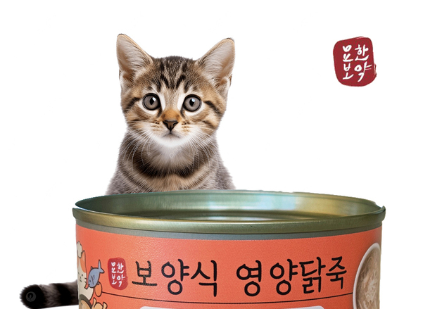 오엠코리아, 고양이용 보양식 '묘한보약 영양닭죽' 선보여