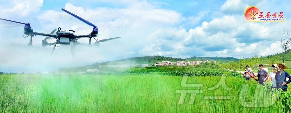 (평양 노동신문=뉴스1) = 북한 노동당 기관지 노동신문은 29일 "당의 영도 밑에 농업부문은 올해에도 큰걸음을 내짚었다''며 "당중앙위원회 제8기 제11차 전원회의가 제시한 알곡 …