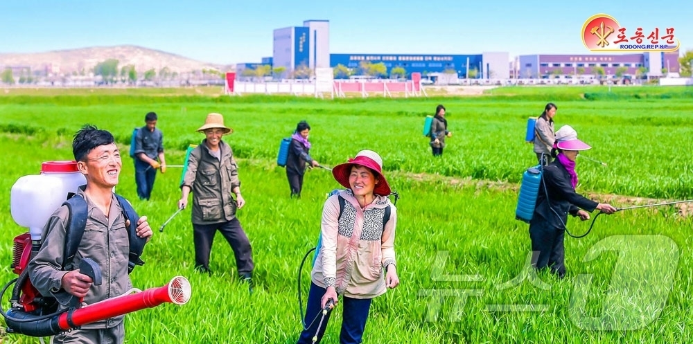 (평양 노동신문=뉴스1) = 북한 노동당 기관지 노동신문은 29일 "당의 영도 밑에 농업부문은 올해에도 큰걸음을 내짚었다"며 "당중앙위원회 제8기 제11차 전원회의가 제시한 알곡생 …