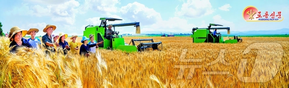 (평양 노동신문=뉴스1) = 북한 노동당 기관지 노동신문은 29일 "당의 영도 밑에 농업부문은 올해에도 큰걸음을 내짚었다"며 "당중앙위원회 제8기 제11차 전원회의가 제시한 알곡생 …