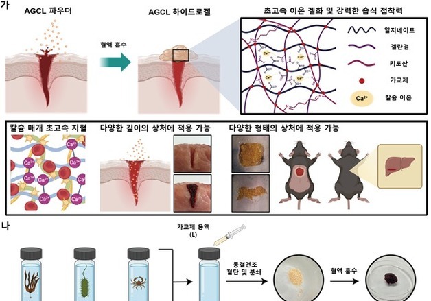 뿌리면 1초 만에 지혈…KAIST, 차세대 파우더 지혈제 개발