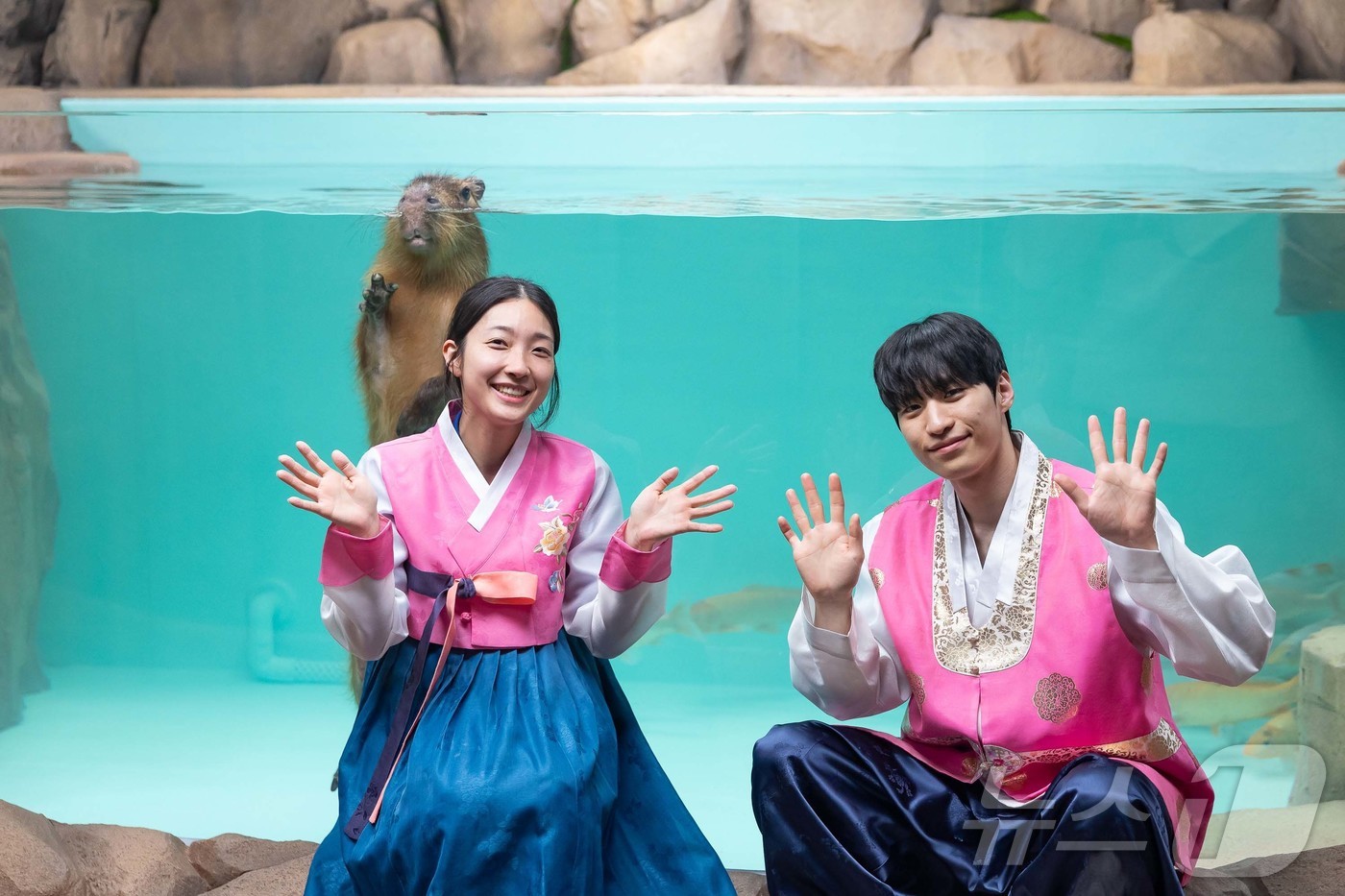 (서울=뉴스1) = 롯데월드 아쿠아리움이 연말연시 행복한 기운을 가져다 줄 신규 생물 카피바라의 전시를 29일부터 오픈한다고 밝혔다. 사진은 새해 인사하는 아쿠아리스트와 카피바라의 …