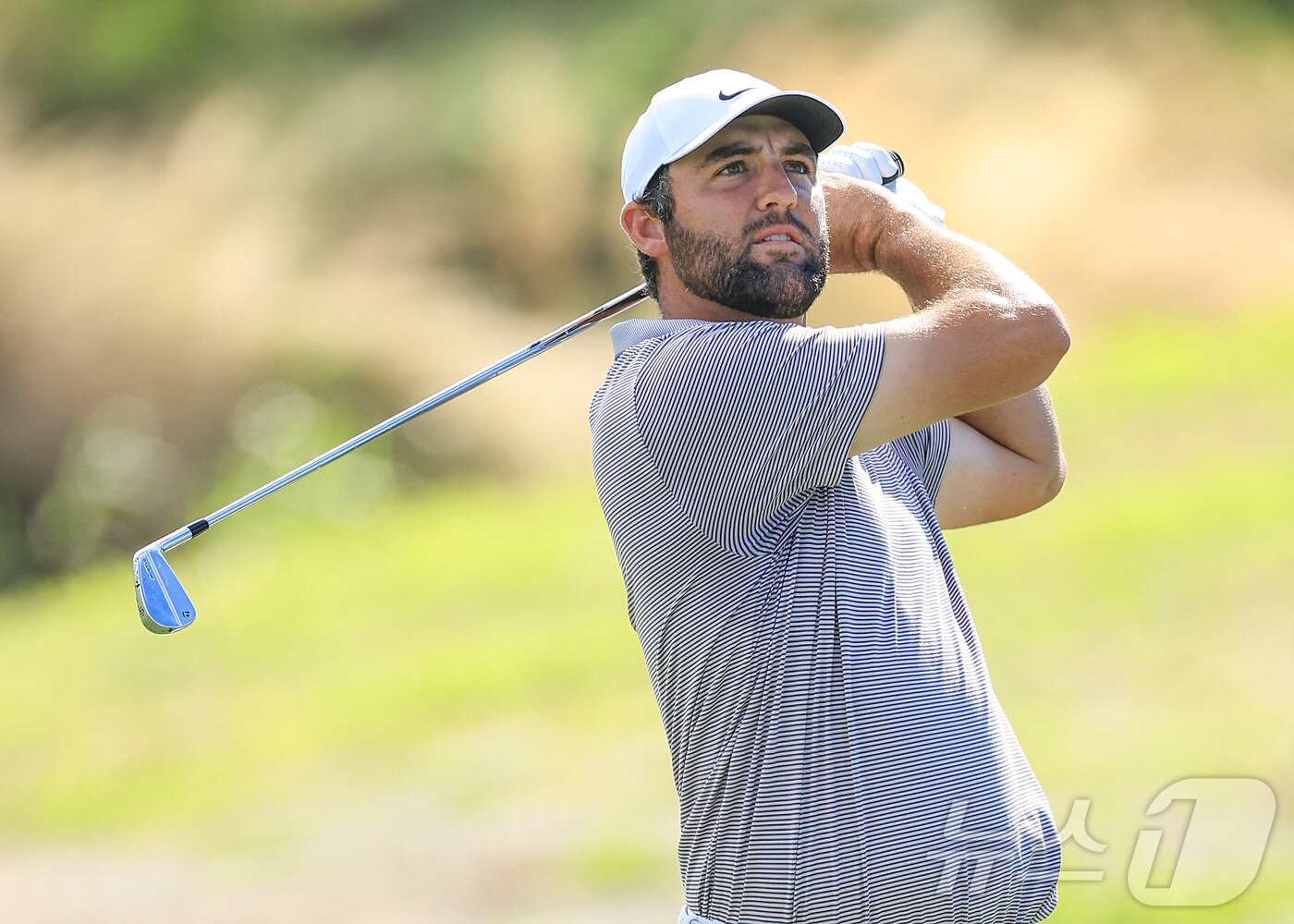 본문 이미지 - 스코티 셰플러(미국). ⓒ AFP=뉴스1