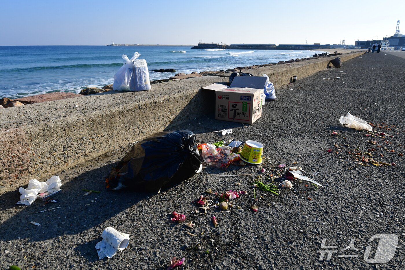 본문 이미지 - 28일 경북 포항시 북구 흥해읍 용한리 해안도로에 관광객이 버리고 간 쓰레기가 나뒹굴고 있다. 2025.12.28/뉴스1 ⓒ News1 최창호 기자 