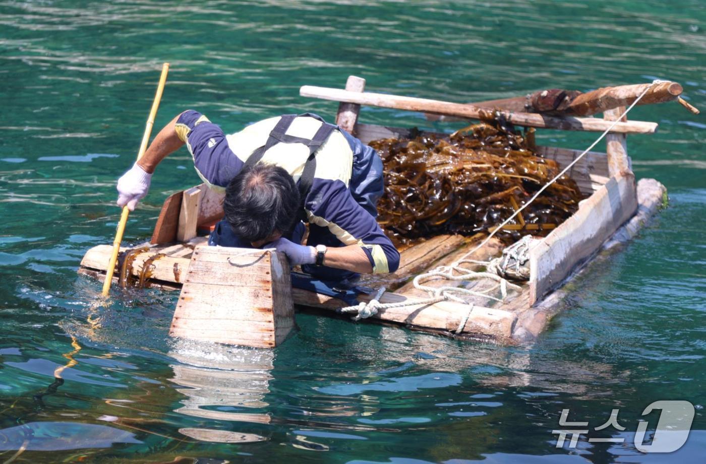 본문 이미지 - 창경바리 어업 자료사진.(강릉시 제공, 재판매 및 DB 금지) 2025.12.29/뉴스1