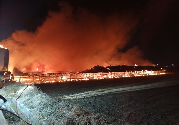 충주 양계장 화재로 4만6천마리 폐사…1억 7000만원 피해