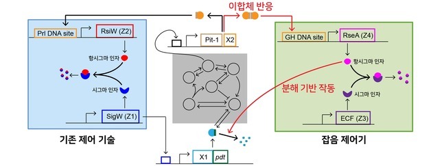 암은 왜 재발하나?…난제 '세포 잡음' 해결 실마리 찾았다